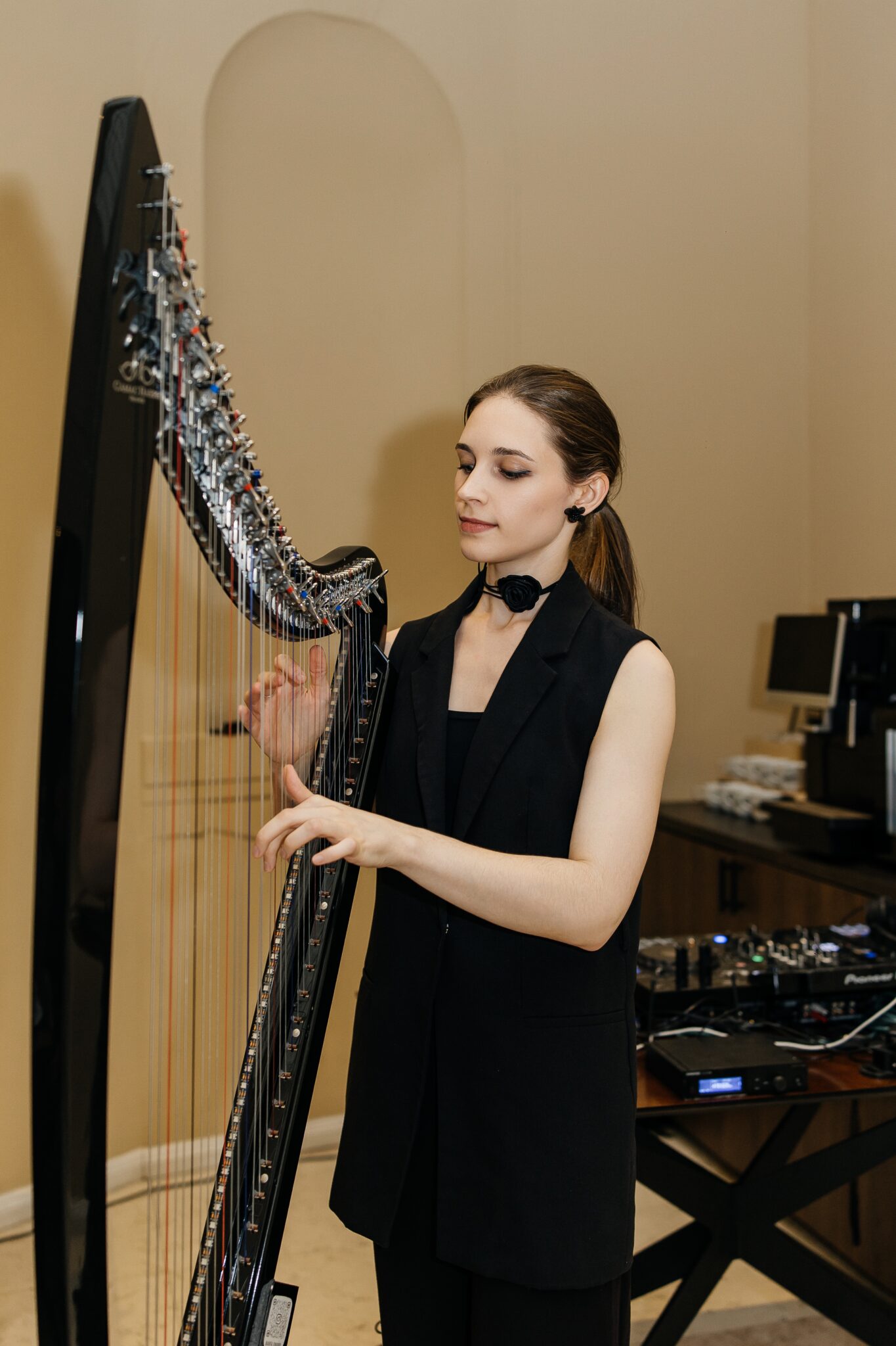 Harp music at the A. Dvořák restaurant in Prague – an elegant atmosphere for celebrations and company parties.